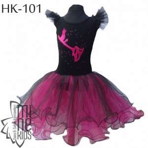 HK-101