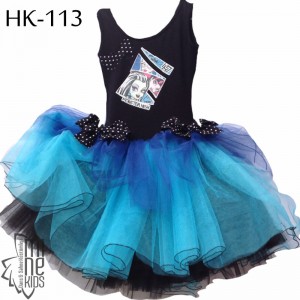 HK-113