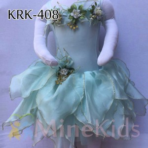 web-KRK-408