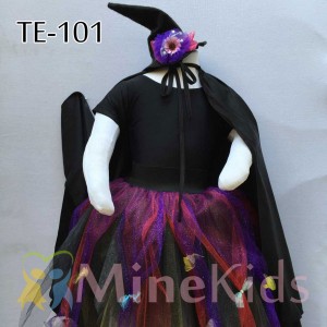web-TE-101