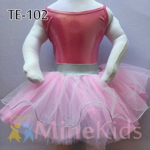 web-TE-102