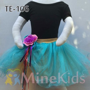 web-TE-106