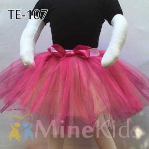 web-TE-107