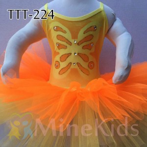 WEB-TTT-224