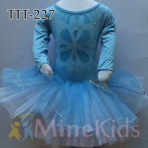 WEB-TTT-227